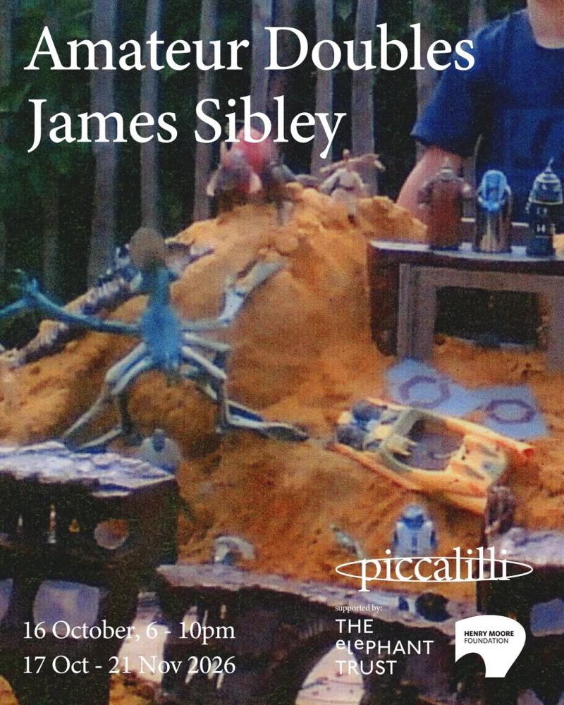 Amateur Doubles, James Sibley: exhibition poster at Piccalilli, 16 October 6–10pm, 17 Oct – 21 Nov 2026