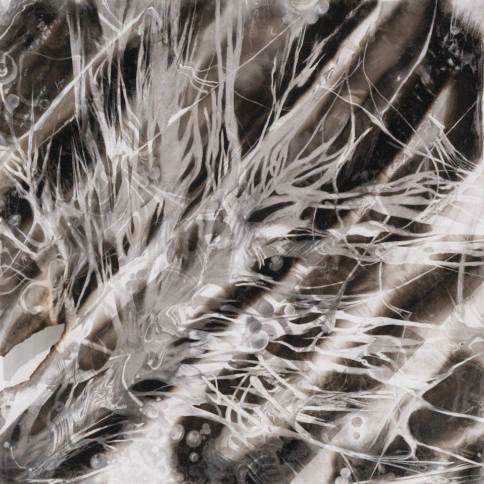 RHIZO / MATIC